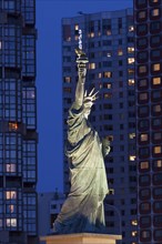 The statue of Liberty, Paris, France, Europe