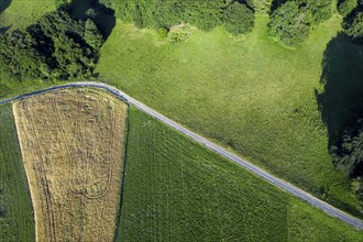 Fields from above