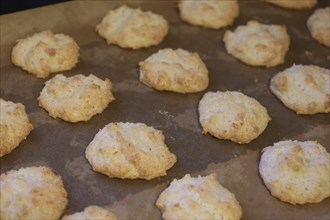 Delicious coconut macaroons on a baking tray During the Advent and pre-Christmas period, everyone