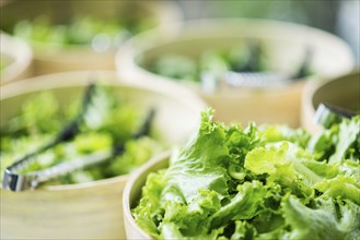 Mixed lettuce salad leaves in bowls in restaurant display