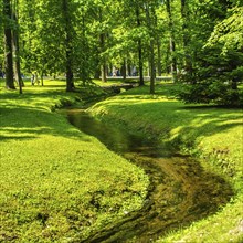 Brook and grass in park in Peterhof, Saint-Petersburg, Russia, Europe