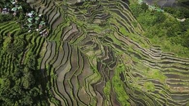 Aerial view of picturesque Batad Rice Terraces in Ifugao Province, Luzon Island, Philippines, Asia