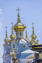 Crosses and domes of Church in Peterhof, Saint-Petersburg, Russia, Europe