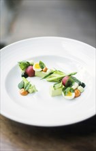 Helthy mixed vegetable salad with egg and broccoli mousse