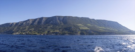 Vineyard on steep slopes by the sea, Peljesac peninsula, near Trstenik, Dalmatia, Croatia, Europe