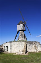 Windmill of the Tranchee, Montsoreau, Pays-de-la-Loire, France, Europe