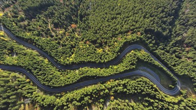 Aerial top view of curved road trough the forest. Hi mountain pass in Transylvania, Romania, Europe