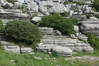 View of the Torcal de Antequera, Malaga, Andalucia, Spain, Europe