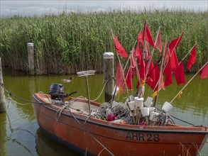 A fishing boat with red flags in the calm waters of the harbour, surrounded by reeds and wooden