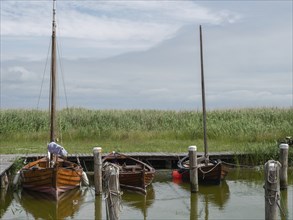 A small harbour view with wooden boats on calm water. In the background you can see reeds and a