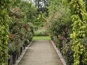 Garden path surrounded by plants and flowers, green atmosphere and nature, Steinfurt, North