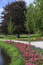 Flower bed along a path in a green park with large trees, Raesfeld, North Rhine-Westphalia,