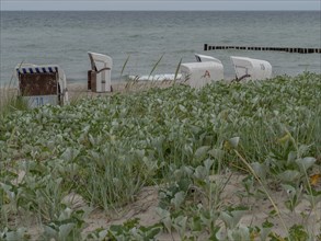 Beach chairs on an overgrown coastal dune section with a view of the sea and the cloudy sky,