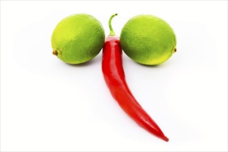 Two limes and a pepper isolated on white