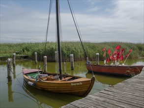 Wooden boats with red flags moored in a quiet harbour surrounded by green reeds, ahrenshoop,