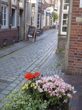 Flower decoration in a cobbled alley in the old town centre in sunny weather, Bremen, Germany,