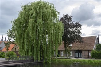 Idyllic scene with a hanging willow in front of a brick house, cloudy sky, calm stream and green