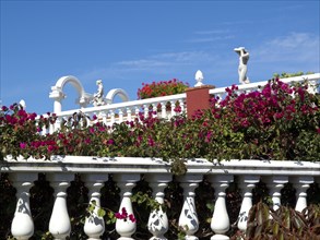 White balustrade with pink flowers and architecture in the background on a sunny day, puerto de la