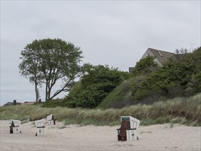 A quiet beach with beach chairs, surrounding dunes and tall trees. The sky is cloudy and the