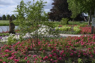 Park with flower beds along a winding path surrounded by trees, Raesfeld, North Rhine-Westphalia,