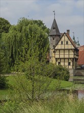 Historic castle with tower and willow tree, surrounded by green meadow and water, summer day,