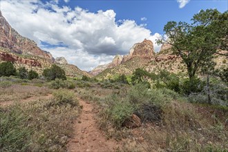 Hiking trail in a valley between the rugged mountains of Zion National Park, Utah