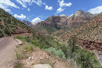 Zion Park Boulevard running through Zion Canyon along the Zion Park Boulevard in Zion National