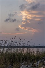 Sea oats silhouetted against a colorful sunset across Perdido Bay in Pensacola, Florida, USA, North