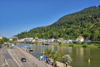 Heidelberg, Germany, June 28th 2024: View over lower Neckar river bank with street and residential