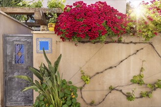 Israel, Tel Aviv historic neighborhood Neve Tzedek with art galleries, boutiques and old houses,