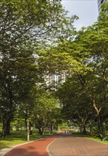 City park with large trees and a brick walkway