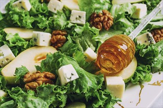 Keto Salad, pear with blue cheese and walnut, selective focus, no people, close-up