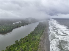 Aerial view, beach and sea, coast with rainforest, Tortuguero National Park, Costa Rica, Central