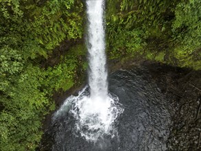 Aerial view, waterfall in the rainforest, Catarata de la Paz, La Paz Waterfall Gardens Nature Park,