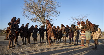 Group of traditional Himba woman standing in a semi-circle, clapping and dancing, music and dance,