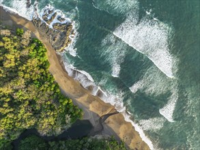 Aerial view, top-down, rainforest, sandy beach and coast with waves, Playa Cocalito, Puntarenas,