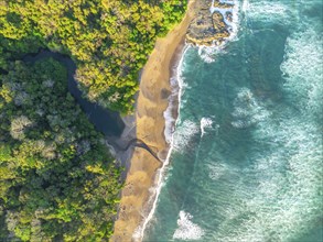 Aerial view, top-down, rainforest, sandy beach and coast with waves, Playa Cocalito, Puntarenas,