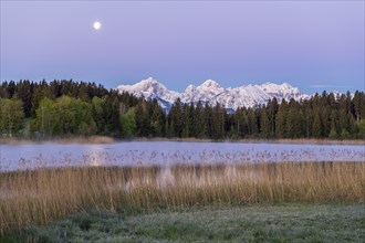 Hegratsrieder See near Füssen, Allgäu Alps, snow, moon, dawn, Allgäu, Bavaria, Germany, Europe