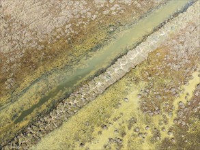 Detail of marshland near Sanlúcar de Barrameda. Aerial view. Drone shot. Cádiz province, Andalusia,