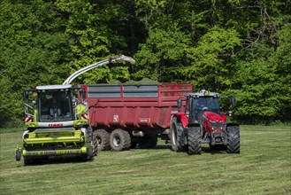 Tractor with trailer running beside Claas Jaguar 870 forage harvester, self-propelled silage