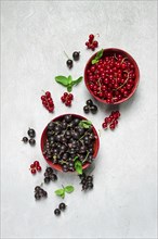 Bowls with berries, black and red currants, top view, food concept, no people