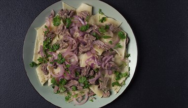 Beshbarmak, Kazakh meat, boiled meat with noodles