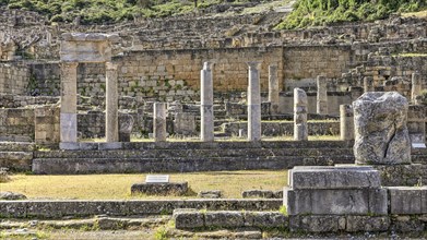 Ancient columns and ruins of a historical site surrounded by vegetation and stone structures in the