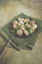 Grape snails stuffed in Burgundy, with butter and herbs, French cuisine, no people