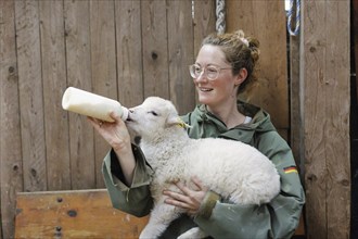 Young woman gives a lamb a bottle of milk in her arms, North Sea island of Borkum, 18.05.2024.