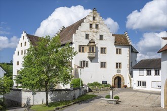 Flower field Castle in Hegau, Tengen, district of Constance, Baden-Württemberg, Germany, Europe