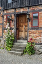 Hollyhocks (Alcea rosea) at a door tin a half-timbered house in a small street in the idyllic