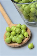 Fresh green peas in wooden spoon, Pisum sativum