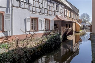 Half-timbered houses on the Canal de la Lauter, Lauter Canal, old town of Wissembourg, Alsace,