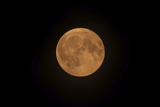 Blue full supermoon above Belgium glows red because of North American wildfire smoke in the